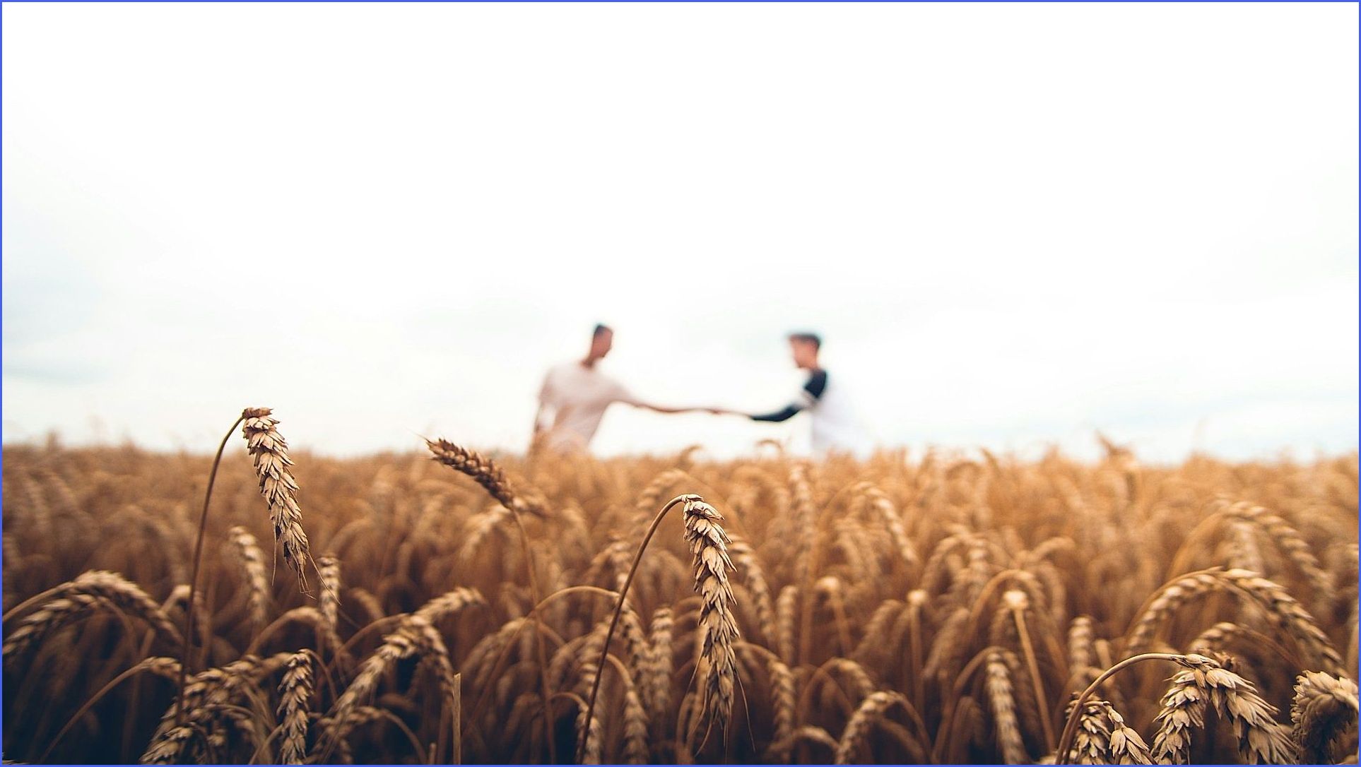 Familia agricultora mexicana en campo orgánico